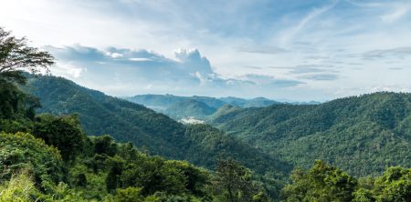 Ecoturismo, la nueva tendencia del futuro